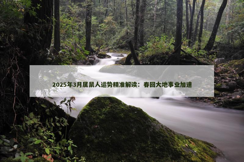 2025年3月属鼠人运势精准解读：春回大地事业加速