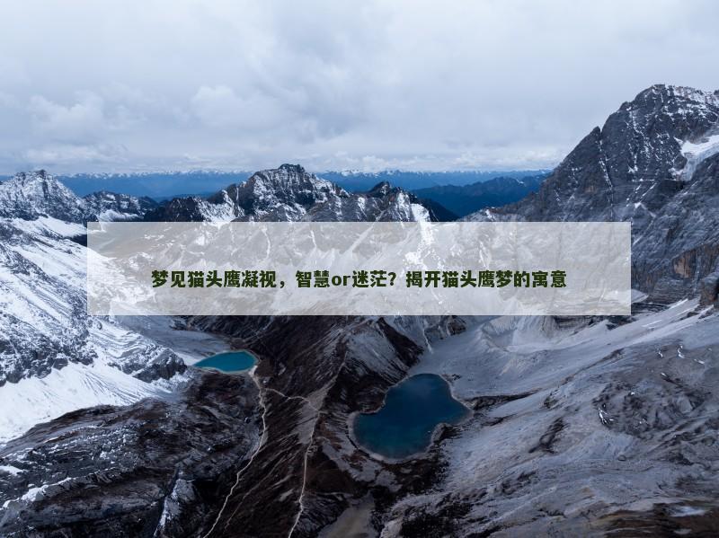 梦见猫头鹰凝视，智慧or迷茫？揭开猫头鹰梦的寓意