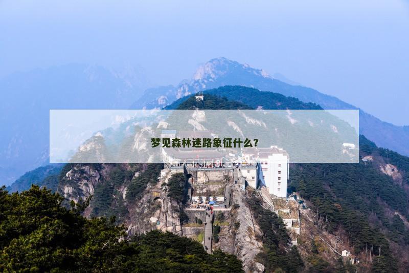 梦见森林迷路象征什么？