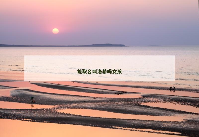 能取名叫洛希吗女孩