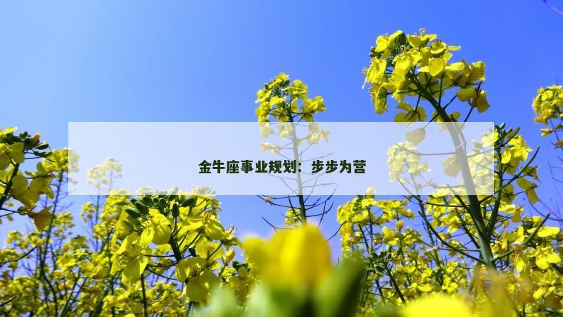 金牛座事业规划：步步为营