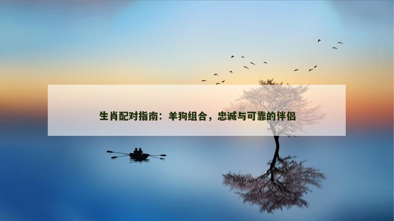 生肖配对指南：羊狗组合，忠诚与可靠的伴侣