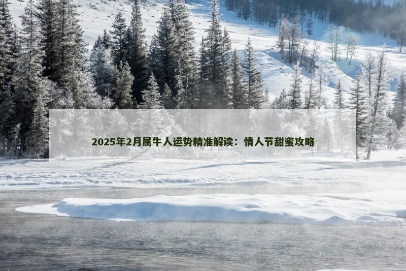 2025年2月属牛人运势精准解读：情人节甜蜜攻略