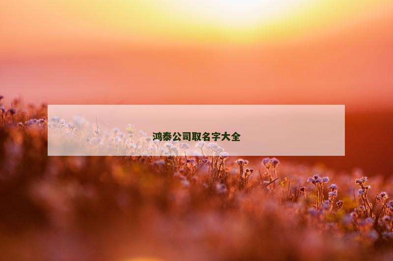 鸿泰公司取名字大全