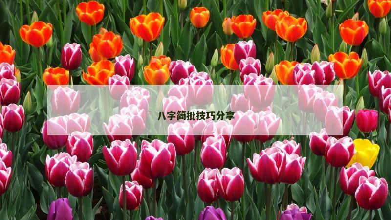 八字简批技巧分享