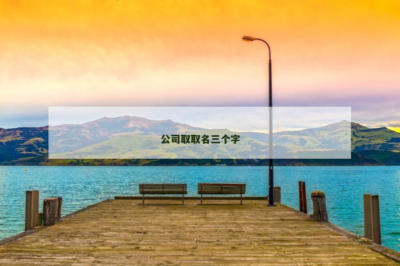 公司取取名三个字