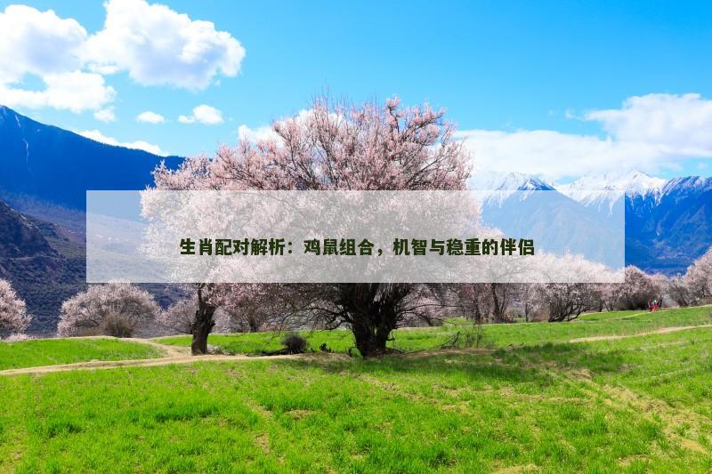 生肖配对解析：鸡鼠组合，机智与稳重的伴侣