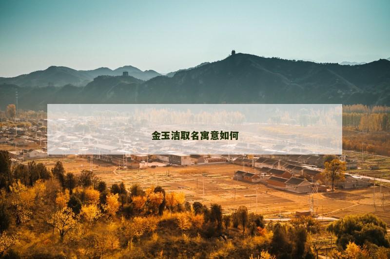 金玉洁取名寓意如何