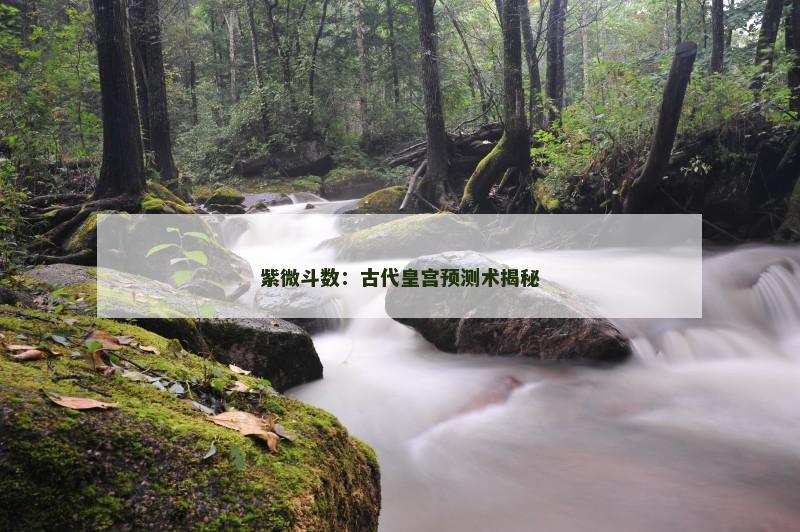 紫微斗数：古代皇宫预测术揭秘
