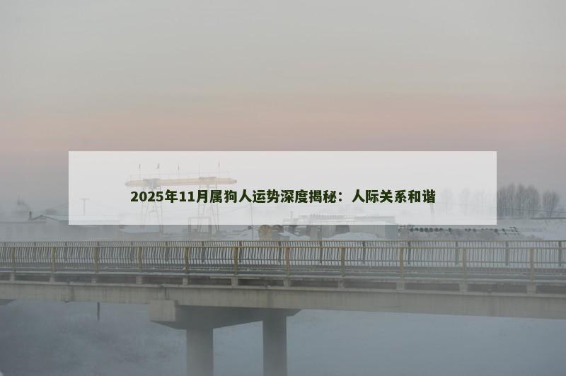 2025年11月属狗人运势深度揭秘：人际关系和谐