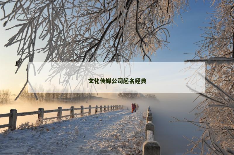 文化传媒公司起名经典