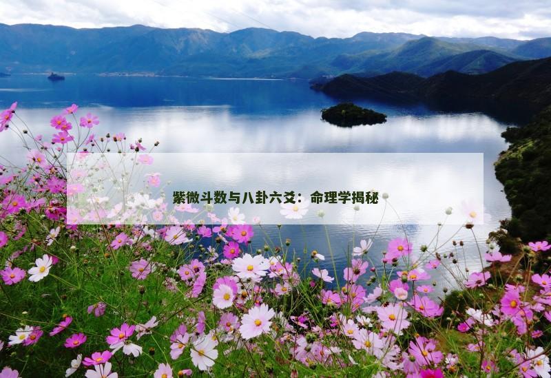 紫微斗数与八卦六爻：命理学揭秘