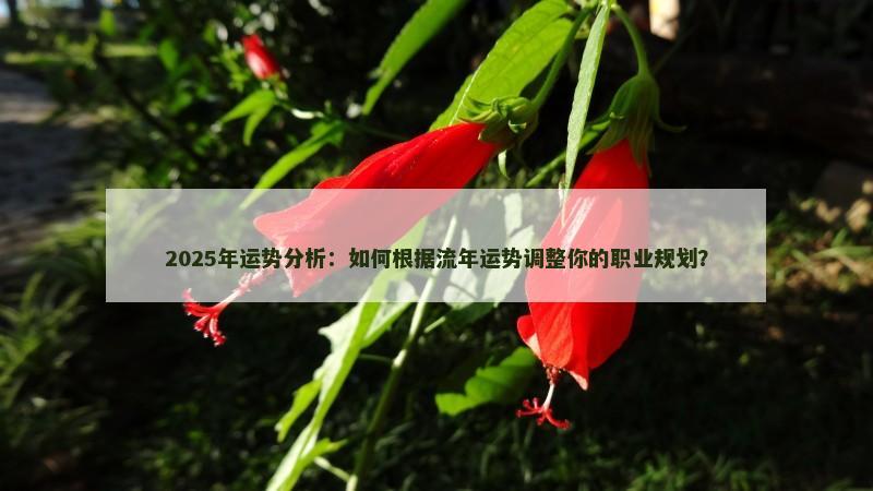 2025年运势分析：如何根据流年运势调整你的职业规划？