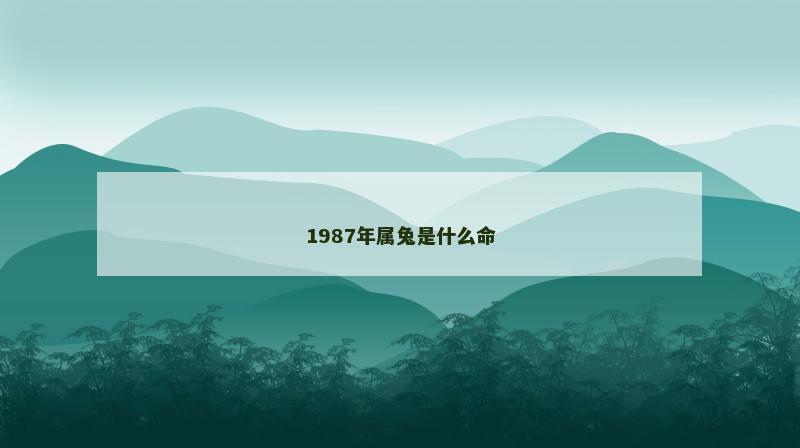 1987年属兔是什么命