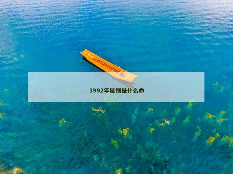 1992年属猴是什么命