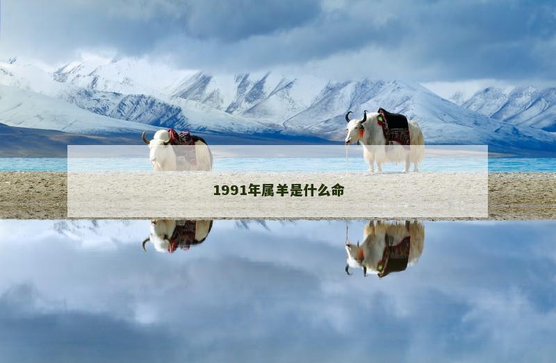 1991年属羊是什么命
