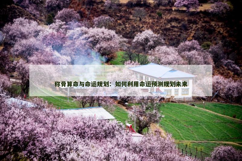 称骨算命与命运规划：如何利用命运预测规划未来