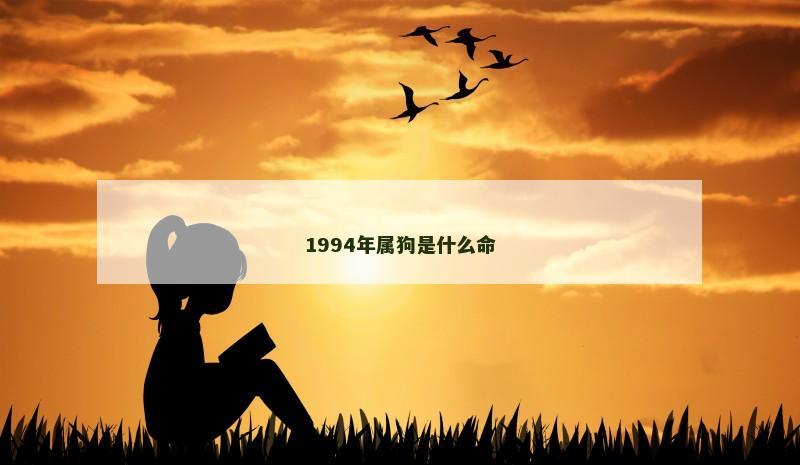 1994年属狗是什么命