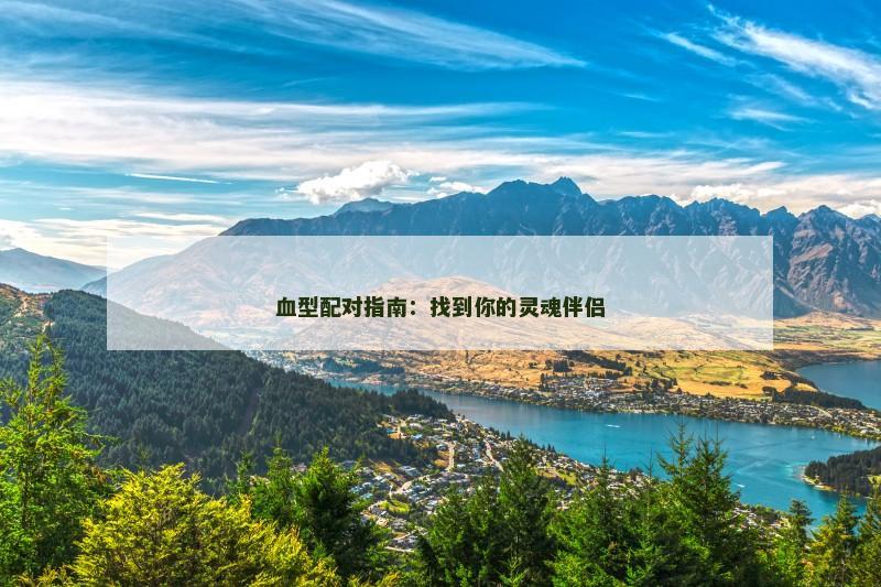 血型配对指南：找到你的灵魂伴侣