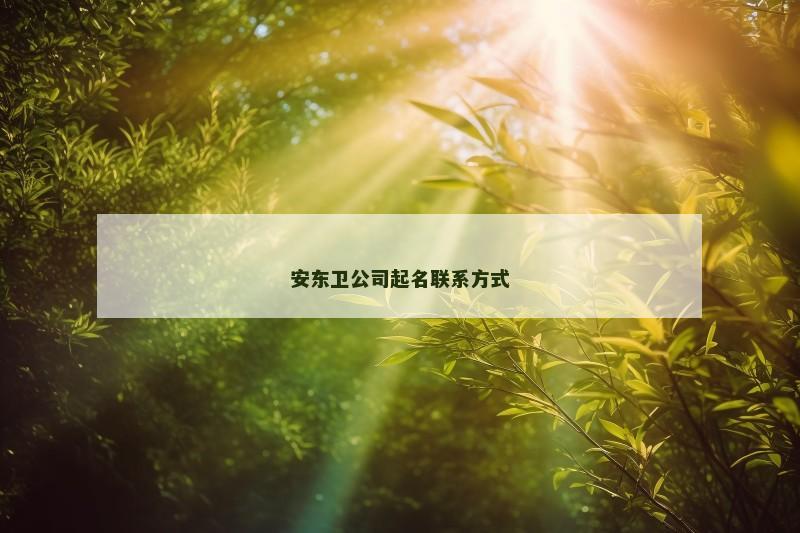 安东卫公司起名联系方式
