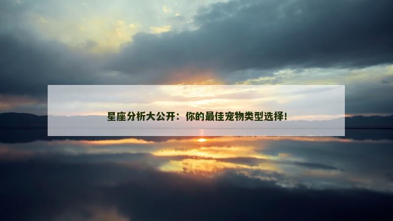 星座分析大公开：你的最佳宠物类型选择！
