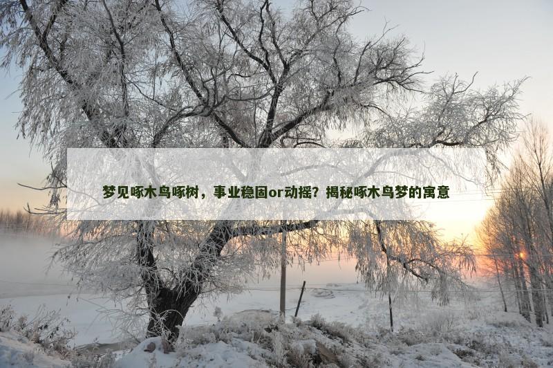 梦见啄木鸟啄树，事业稳固or动摇？揭秘啄木鸟梦的寓意