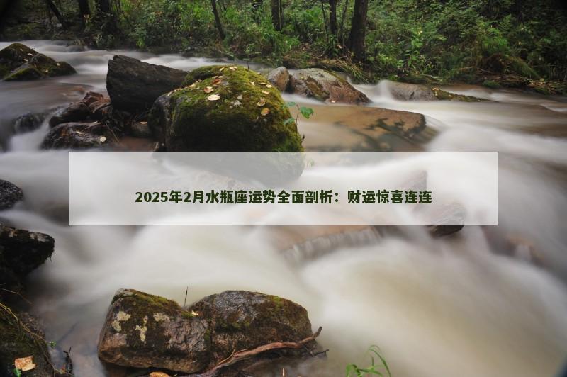 2025年2月水瓶座运势全面剖析：财运惊喜连连