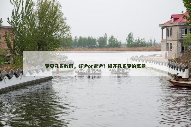 梦见孔雀收屏，好运or霉运？揭开孔雀梦的寓意