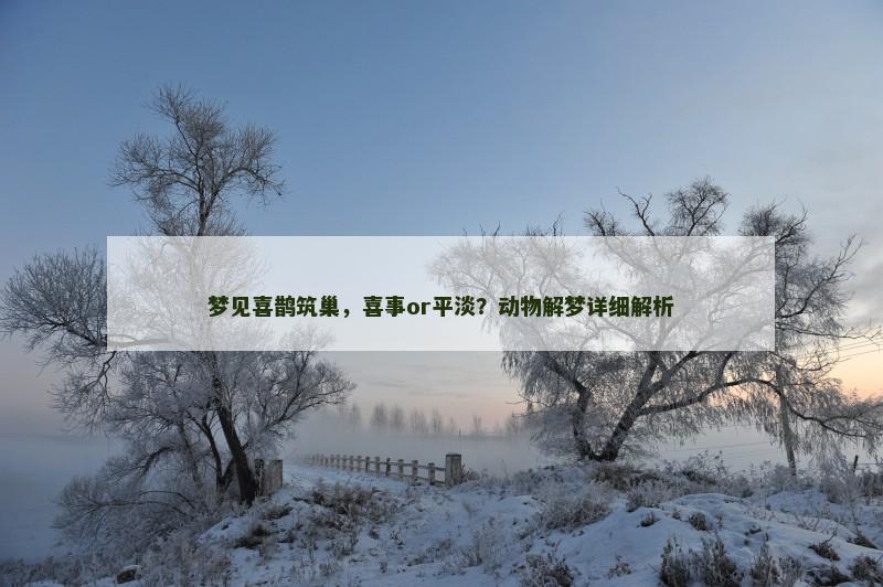 梦见喜鹊筑巢，喜事or平淡？动物解梦详细解析