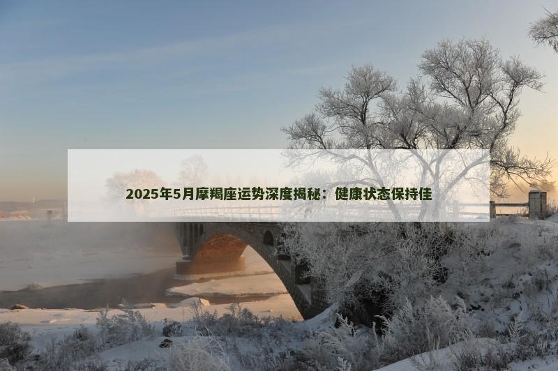 2025年5月摩羯座运势深度揭秘：健康状态保持佳