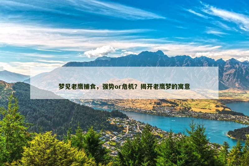 梦见老鹰捕食，强势or危机？揭开老鹰梦的寓意