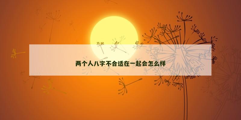 两个人八字不合适在一起会怎么样
