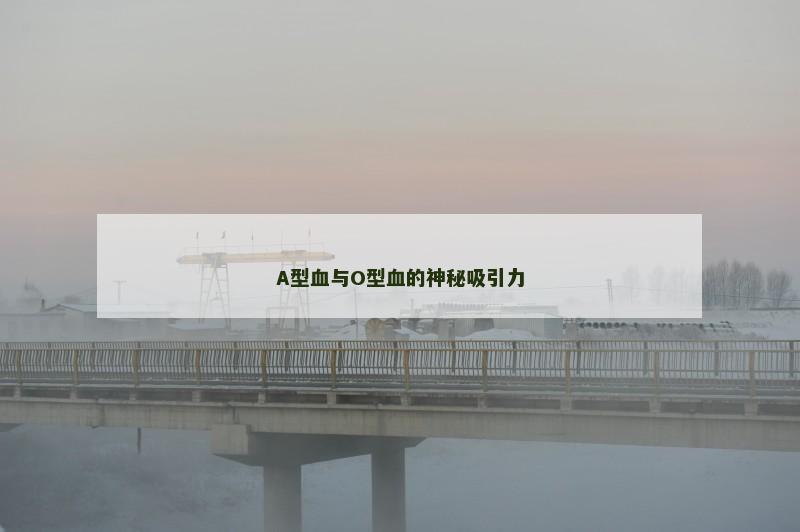 A型血与O型血的神秘吸引力