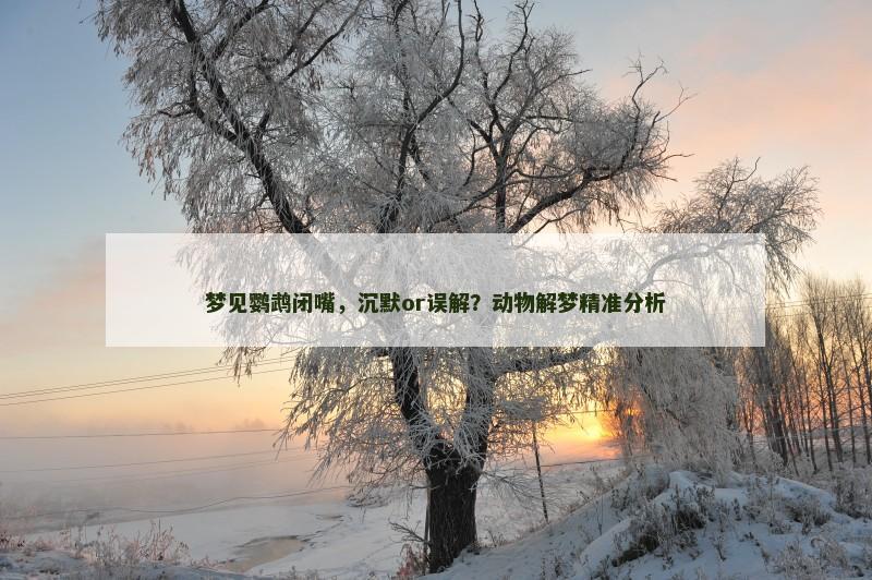 梦见鹦鹉闭嘴，沉默or误解？动物解梦精准分析