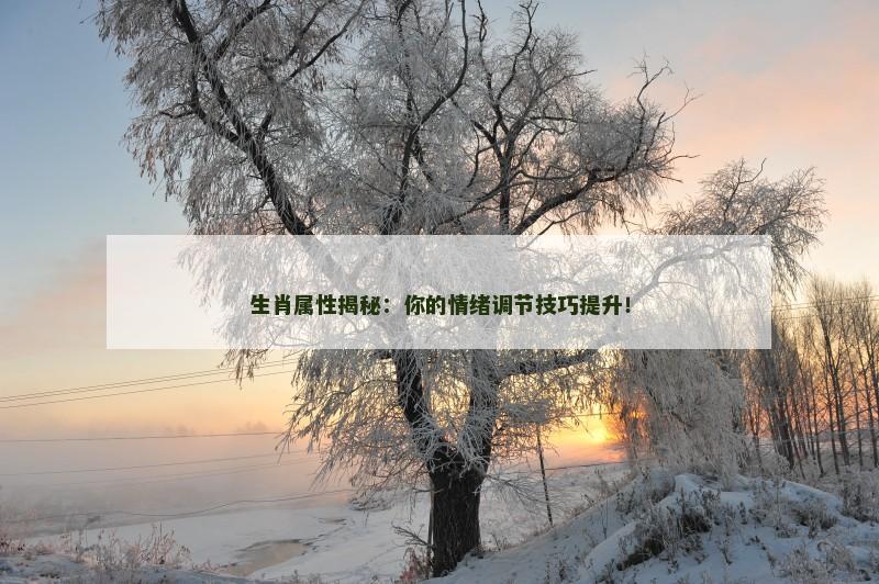 生肖属性揭秘：你的情绪调节技巧提升！