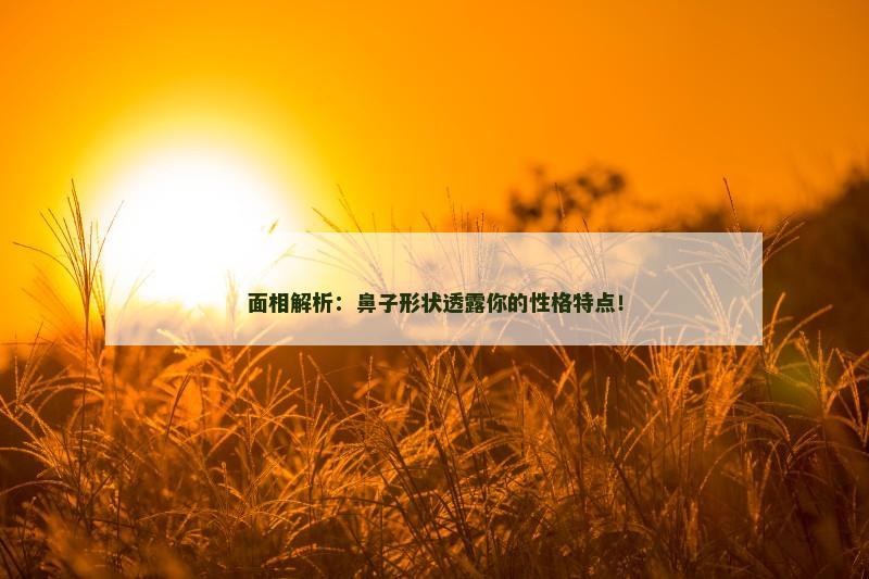 面相解析：鼻子形状透露你的性格特点！