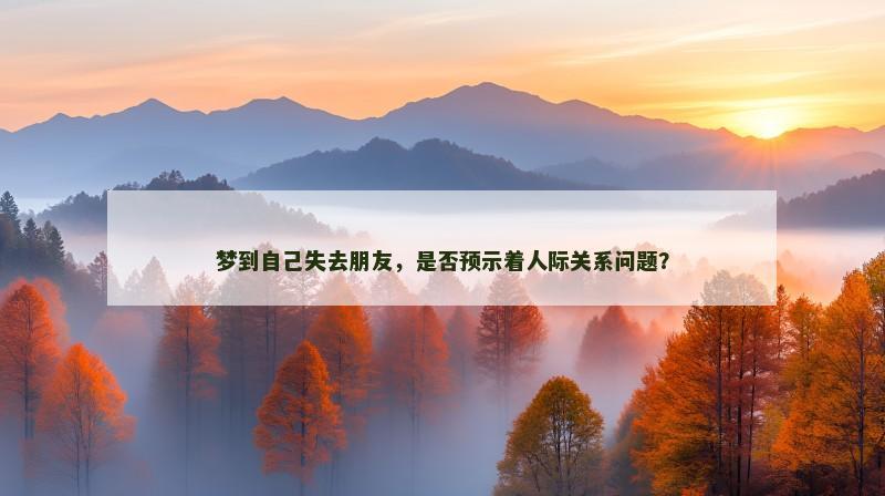 梦到自己失去朋友，是否预示着人际关系问题？