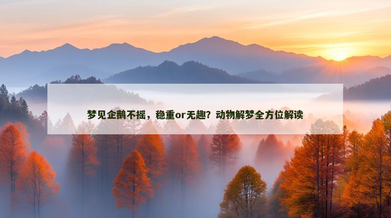 梦见企鹅不摇，稳重or无趣？动物解梦全方位解读