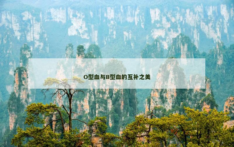 O型血与B型血的互补之美
