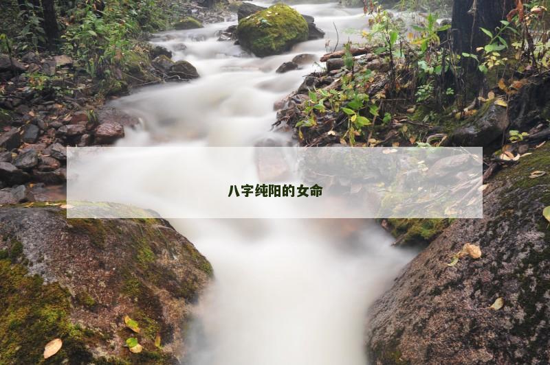 八字纯阳的女命