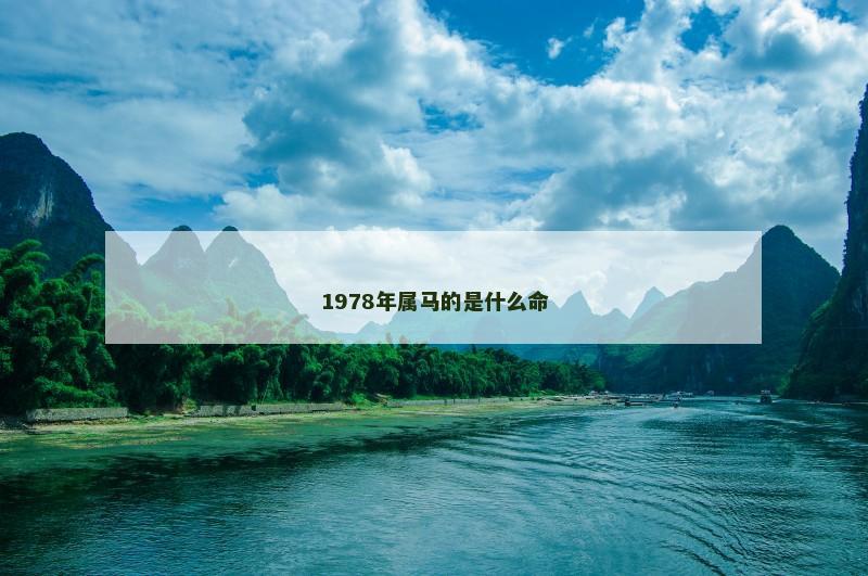 1978年属马的是什么命