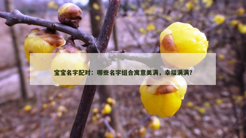 宝宝名字配对：哪些名字组合寓意美满，幸福满满？