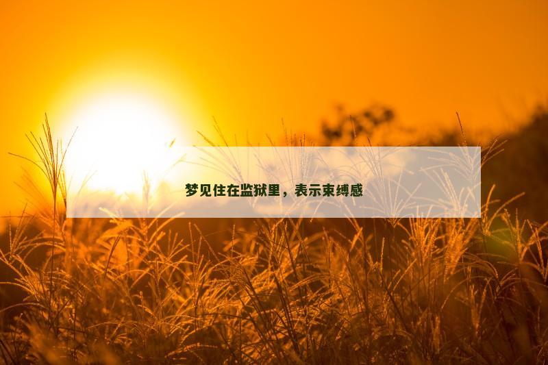 梦见住在监狱里，表示束缚感