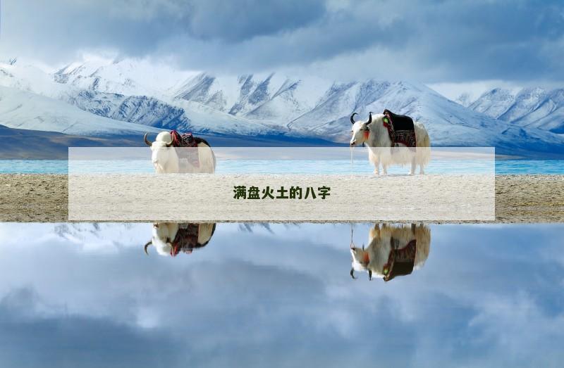 满盘火土的八字