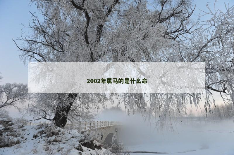 2002年属马的是什么命