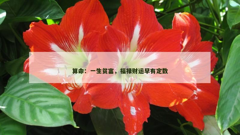 算命:一生贫富,福禄财运早有定数