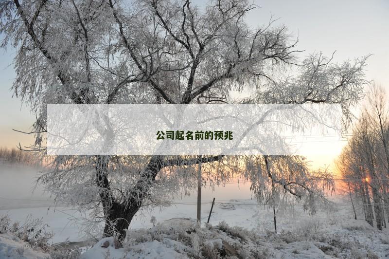 公司起名前的预兆