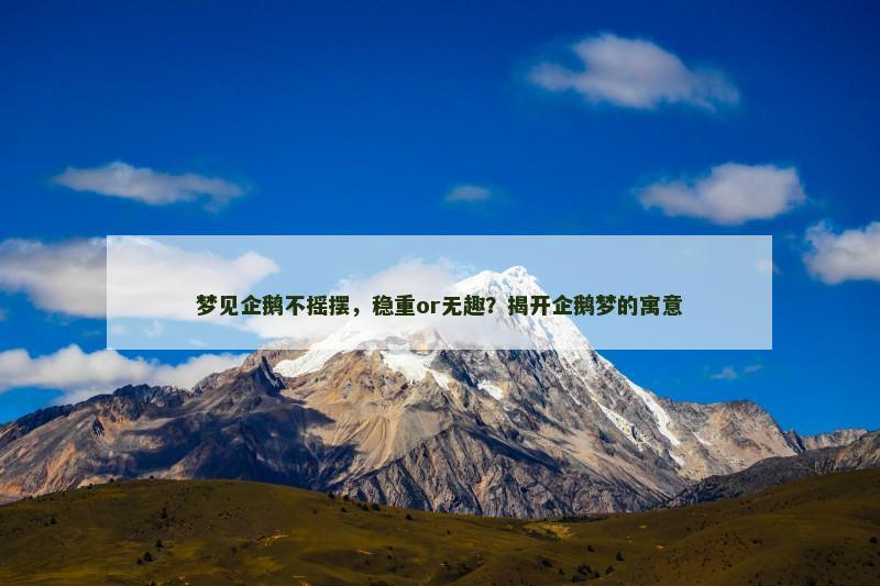 梦见企鹅不摇摆，稳重or无趣？揭开企鹅梦的寓意