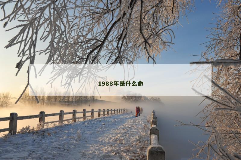 1988年是什么命