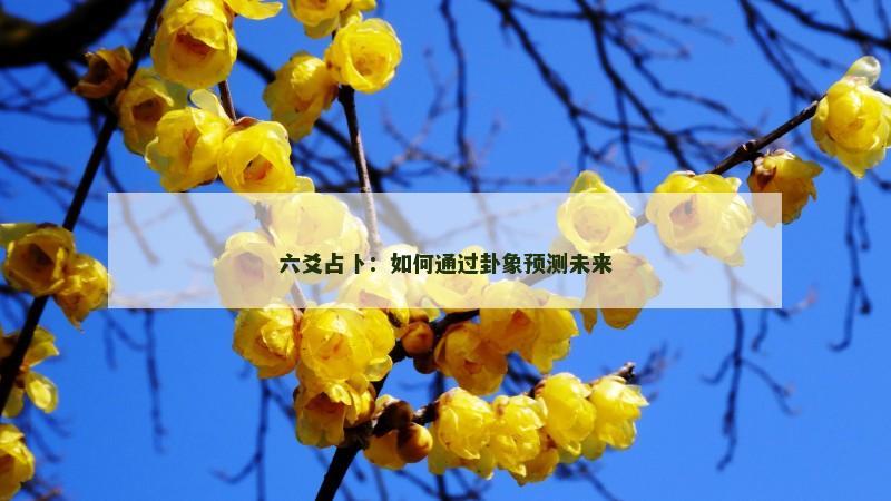 六爻占卜：如何通过卦象预测未来